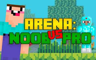 Arena: Noob Vs Pro game cover