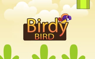 Birdy Bird Floppy game cover