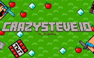 CrazySteve.io