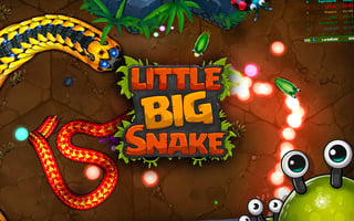 Little Big Snake