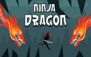 Ninja Dragon