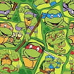 Ninja Turtle Games