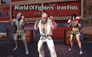 World Of Fighters: Iron Fists game cover