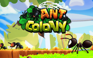 Ant Colony