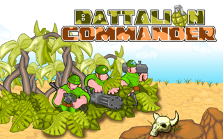 Battalion Commander