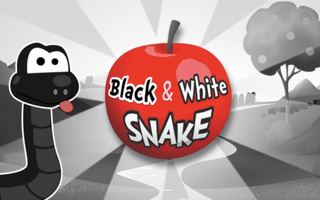 Black & White Snake