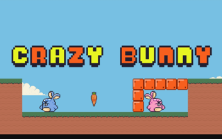 Crazy Bunny