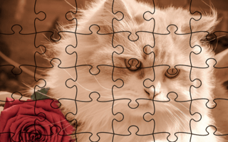 Jigsaw Puzzle: Cats