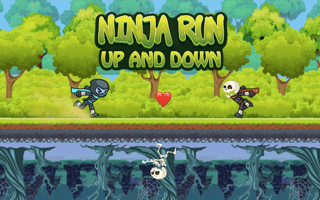 Ninja Run Up and Down