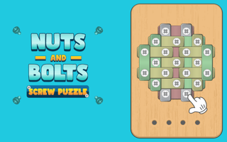 Nuts And Bolts Screw Puzzle