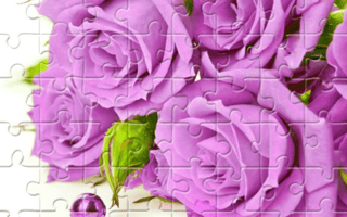 Purple Roses Puzzle