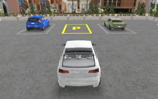 Real Car Parking