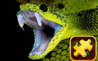 Snake Puzzle Challenge game cover