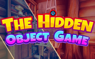 The Hidden Object Game